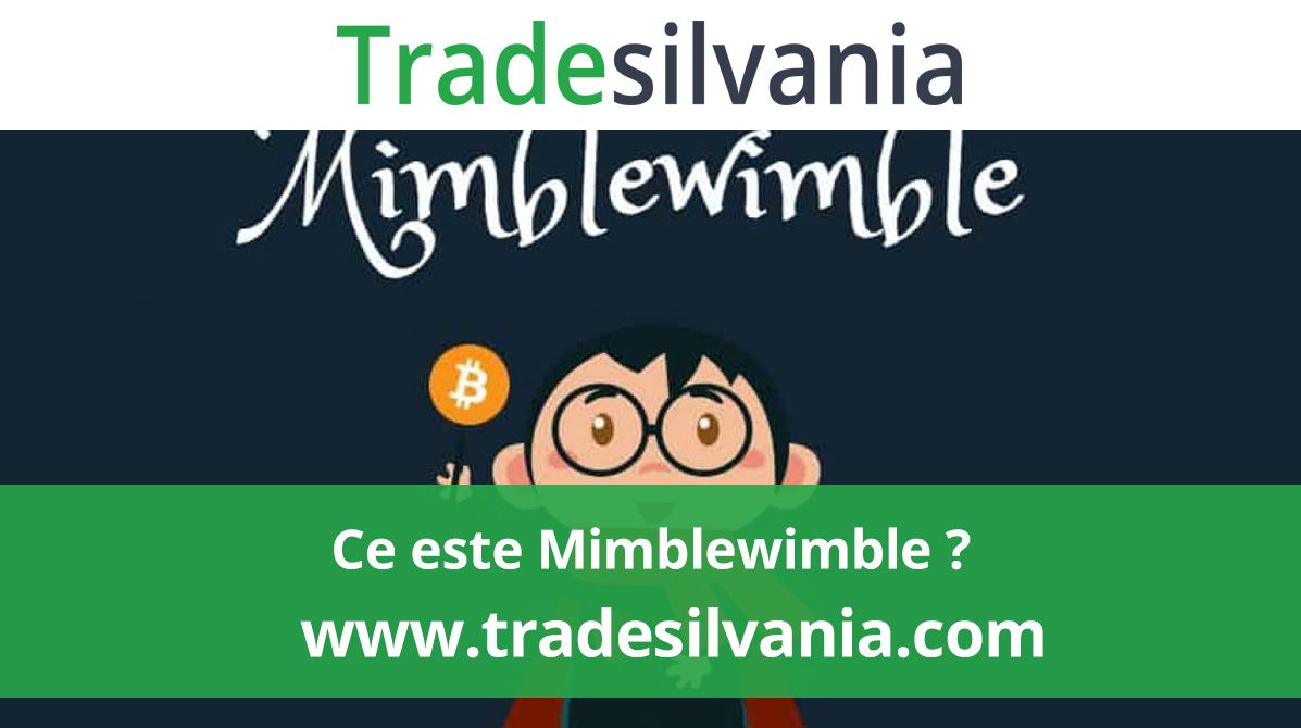 Ce este Mimblewimble?