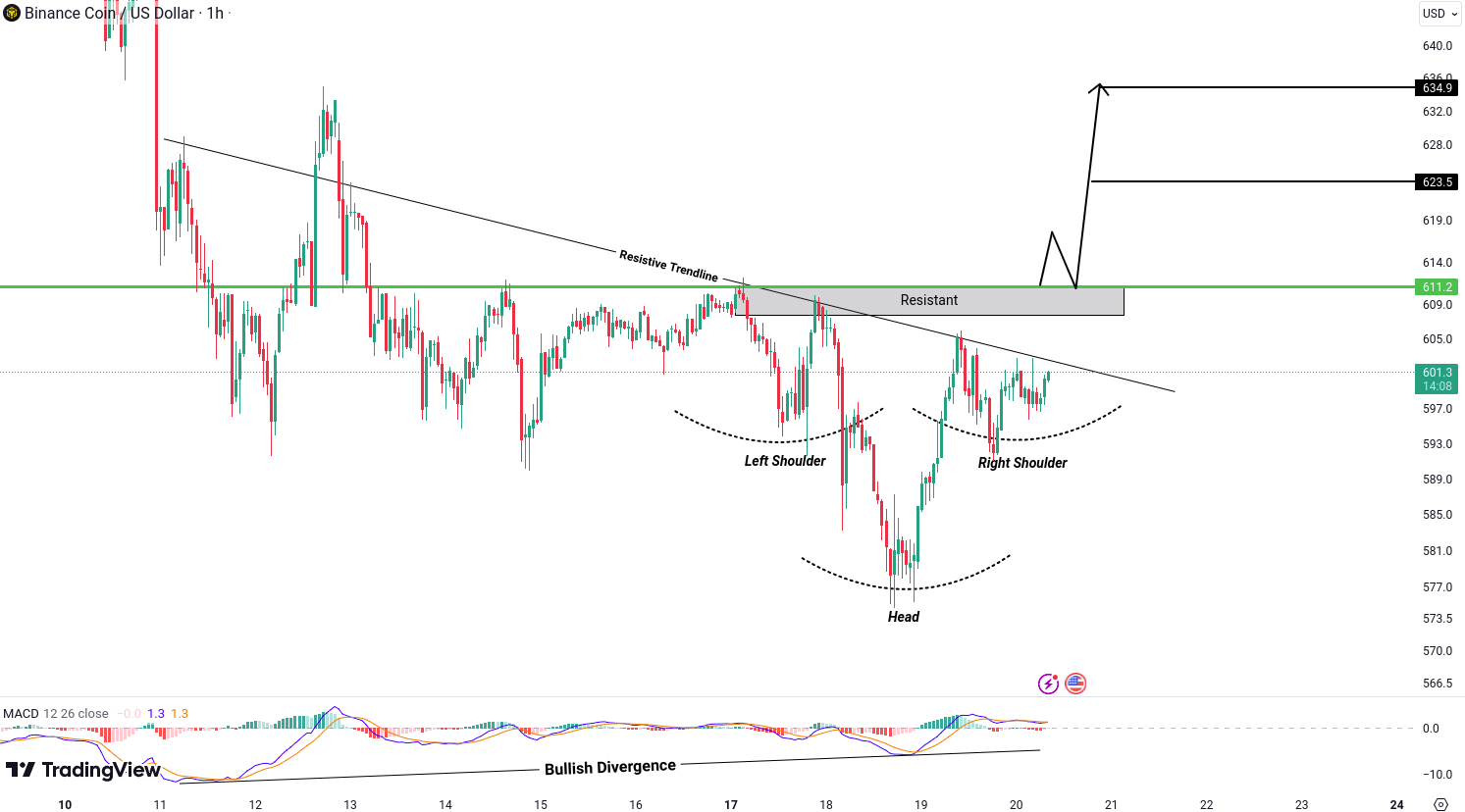 Binance Coin (BNB) Analysis