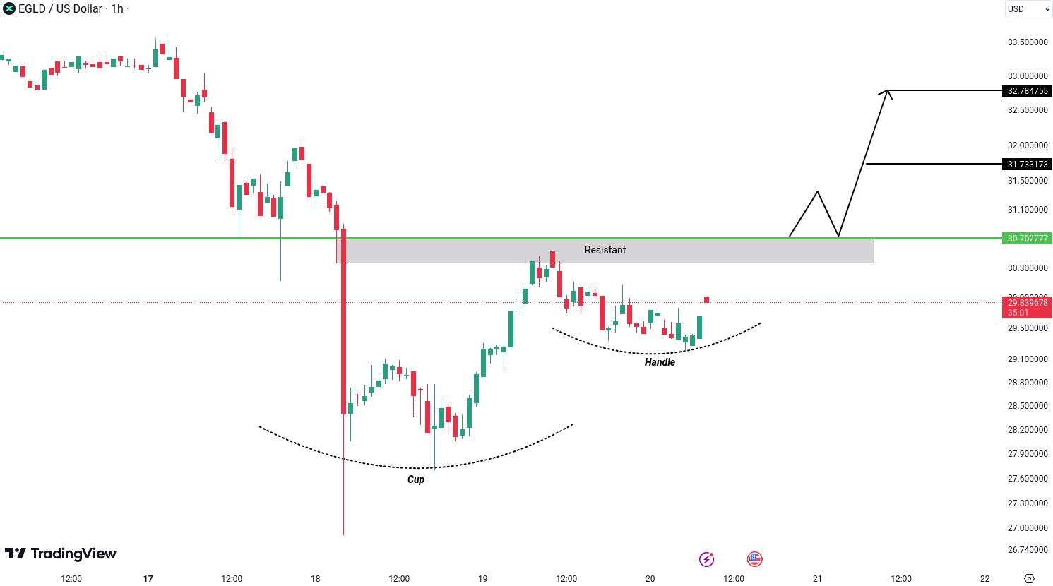 MultiversX (EGLD) Analysis