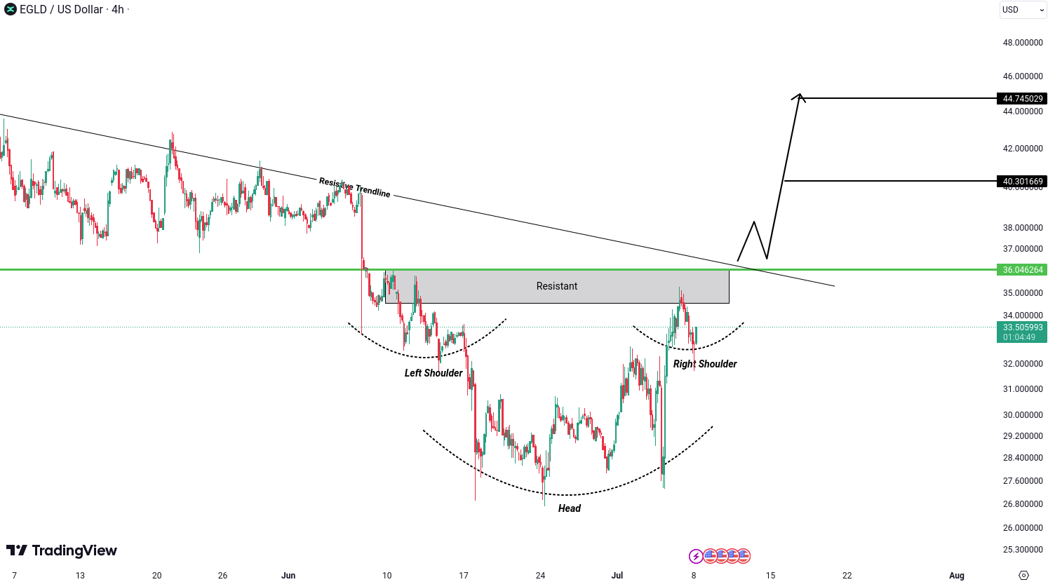 MultiversX (EGLD) Analysis