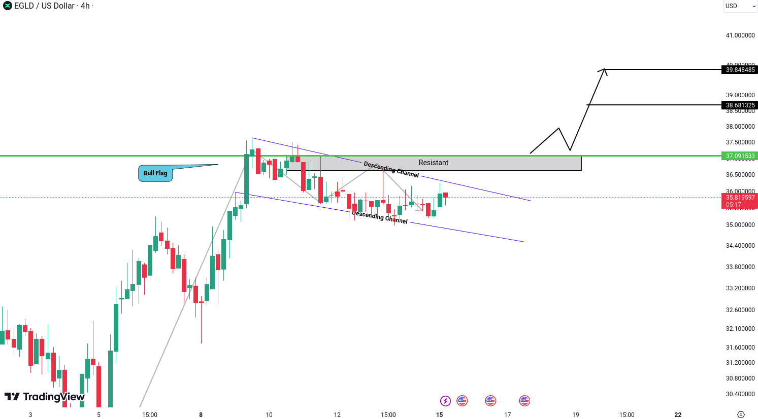 MultiversX (EGLD) Analysis