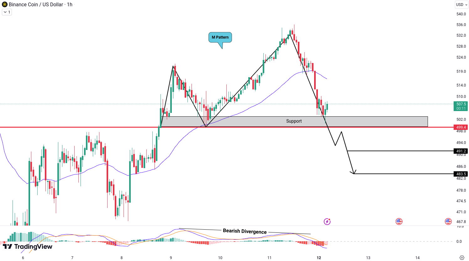 Analiza Binance Coin (BNB)