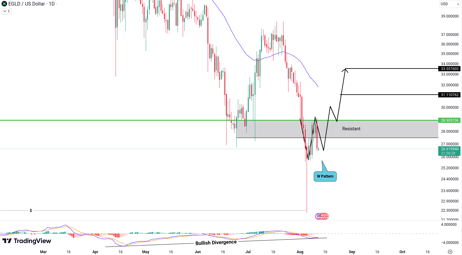 MultiversX (EGLD) Analysis