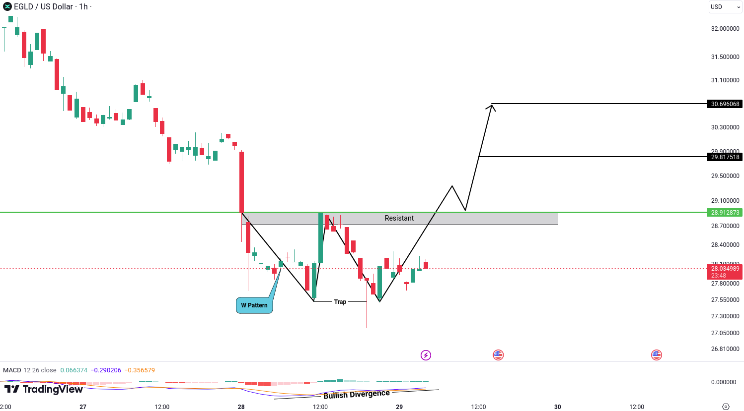 Analiza MultiversX (EGLD)