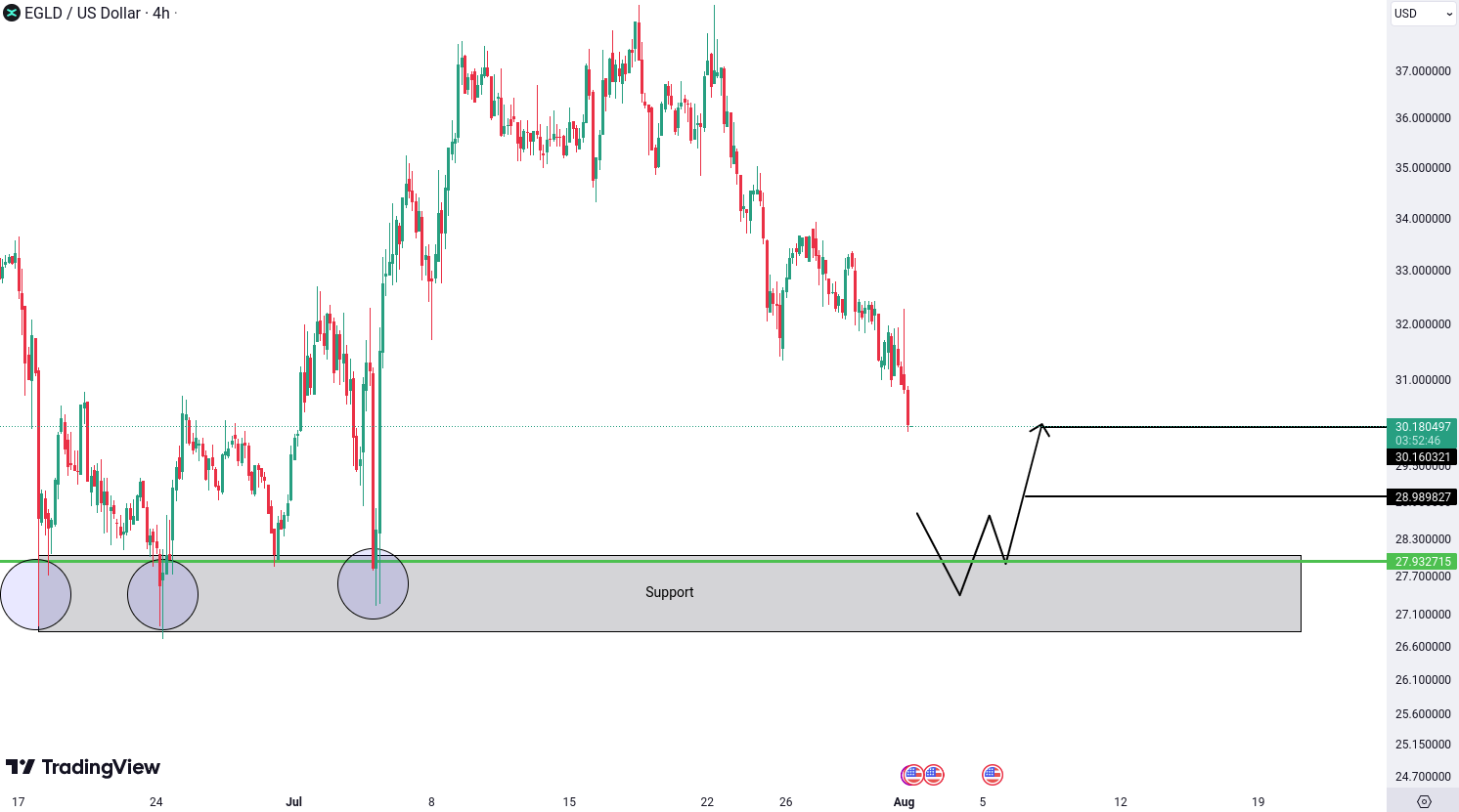 MultiversX (EGLD) Analysis