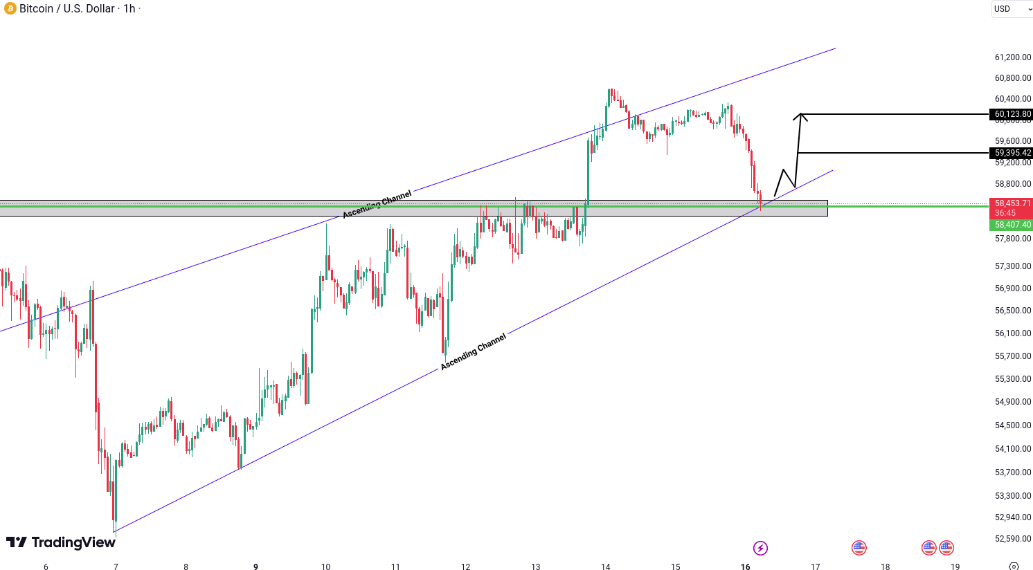 Bitcoin (BTC) Analysis