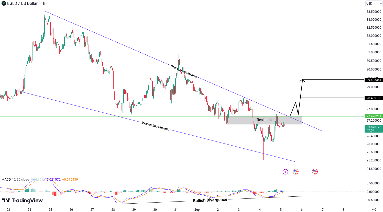 MultiversX (EGLD) Analysis