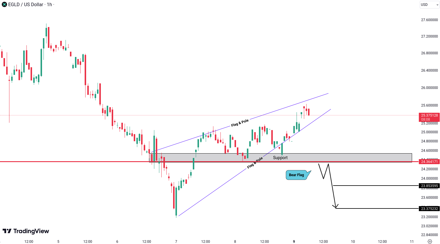 MultiversX (EGLD) Analysis