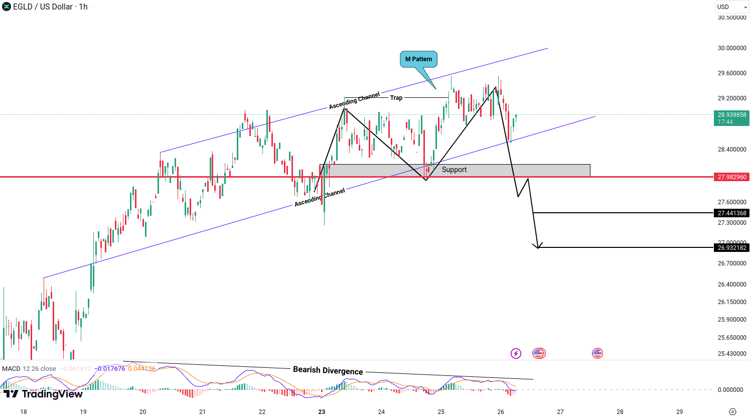 Analiza MultiversX (EGLD)