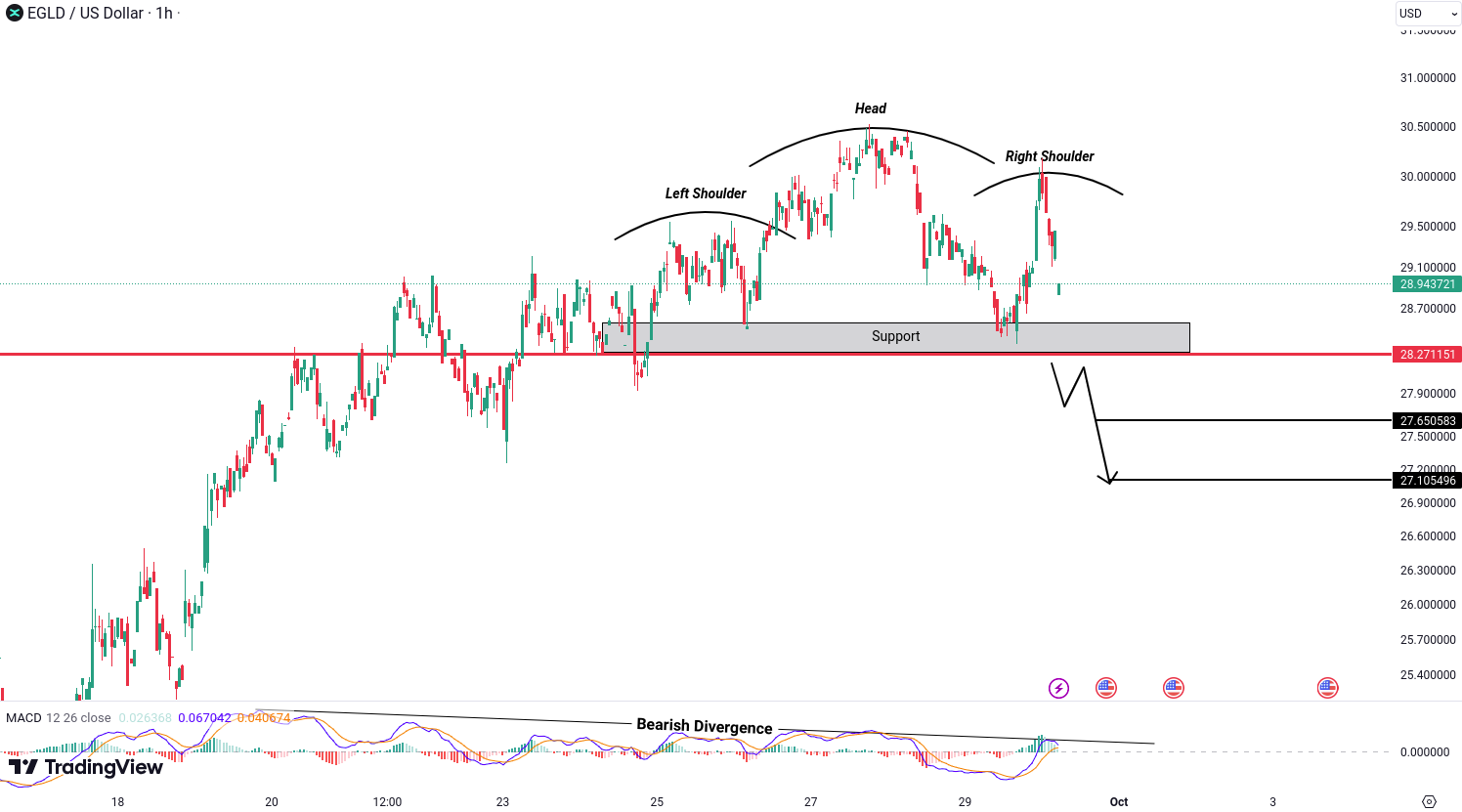 MultiversX (EGLD) Analysis