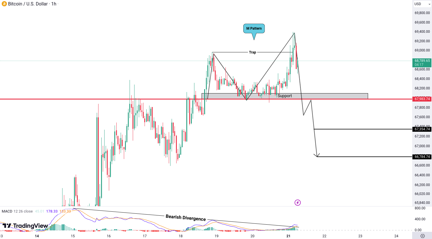 Bitcoin (BTC) Analysis