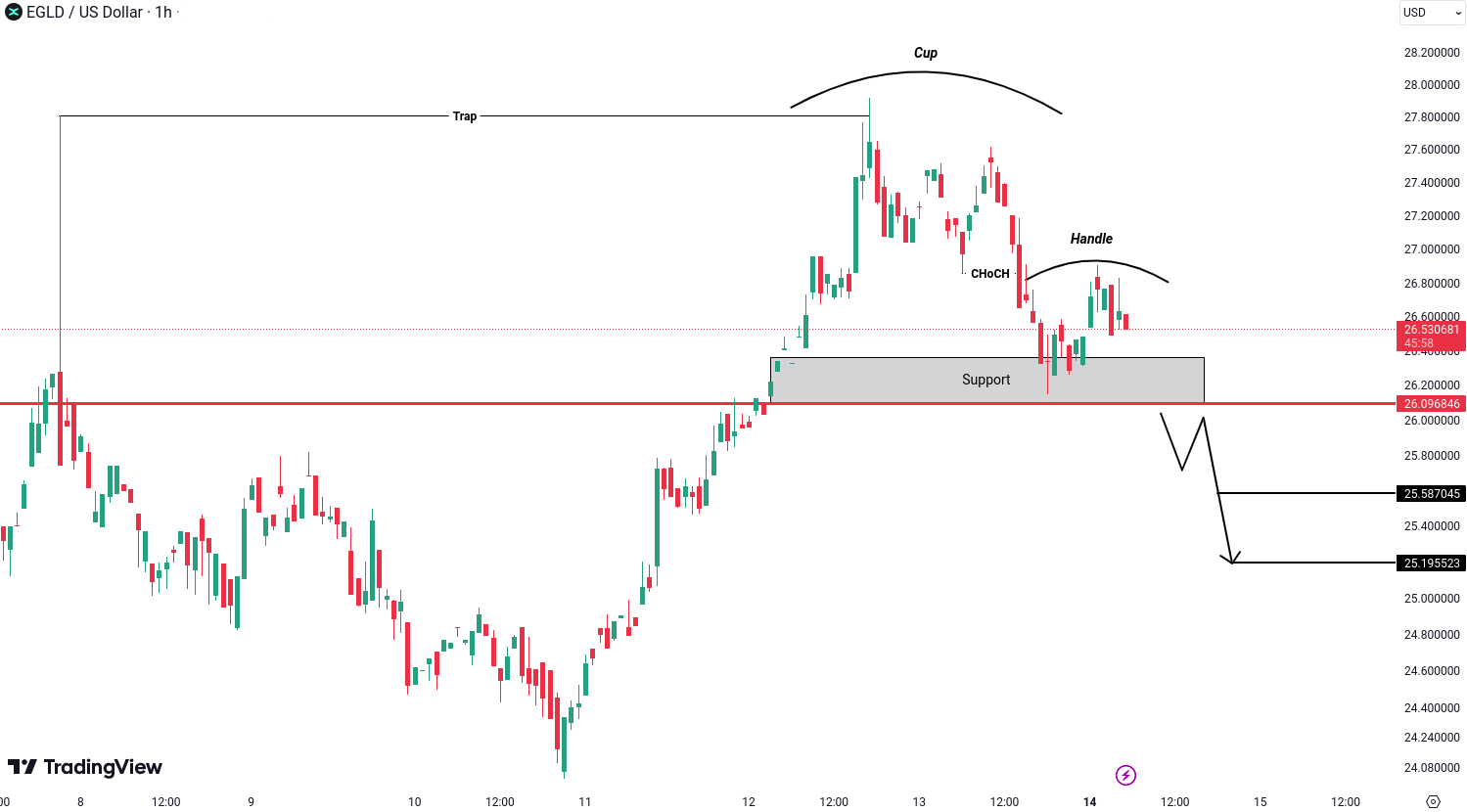 MultiversX (EGLD) Analysis