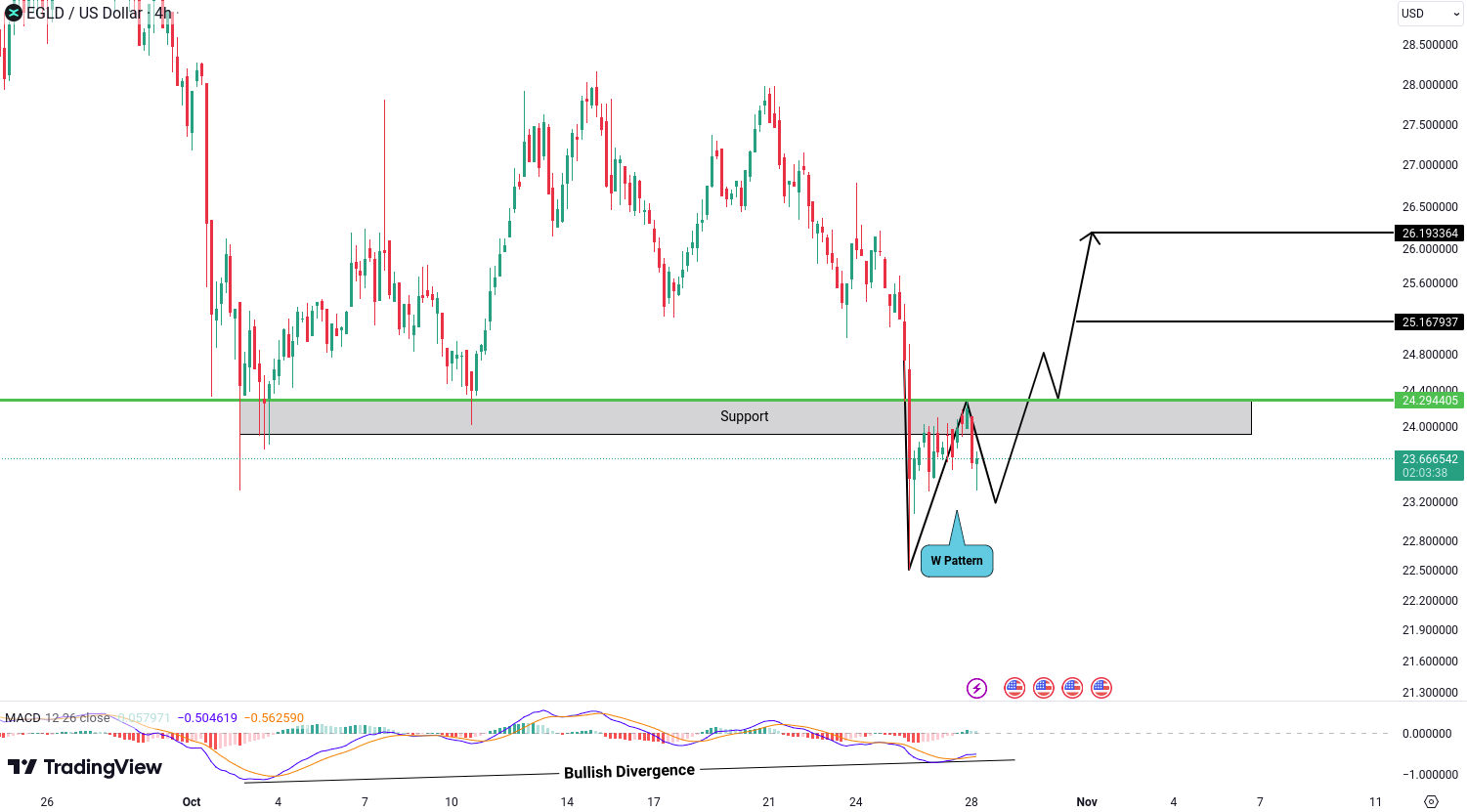 Analiza MultiversX (EGLD)