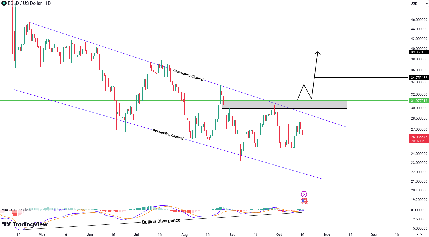 MultiversX (EGLD) Analysis