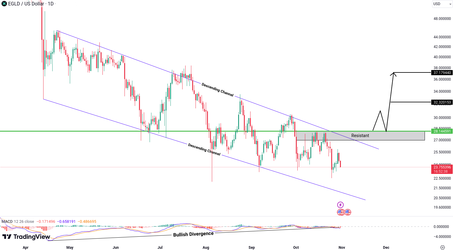 MultiversX (EGLD) Analysis