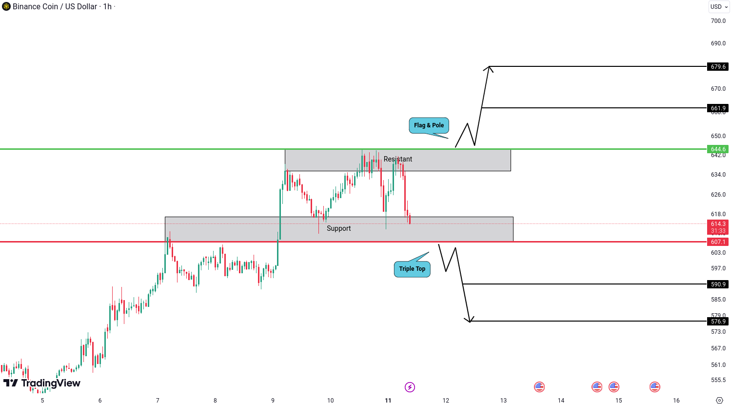 Crypto analysis for BTC, ETH, EGLD, BNB and ADA - November 11, 2024