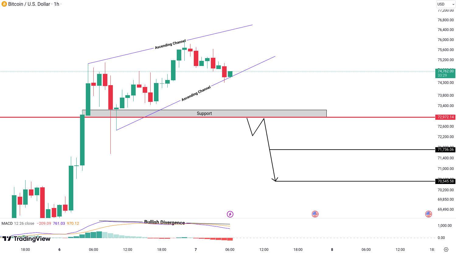 Crypto analysis for BTC, ETH, EGLD, ALGO and FIL - November 07, 2024