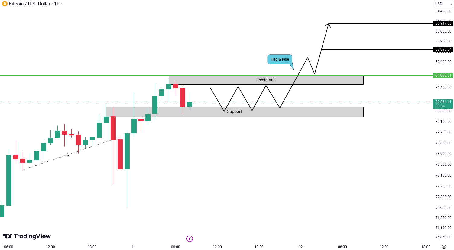 Analiza crypto BTC, ETH, EGLD, BNB si ADA - 11 noiembrie 2024