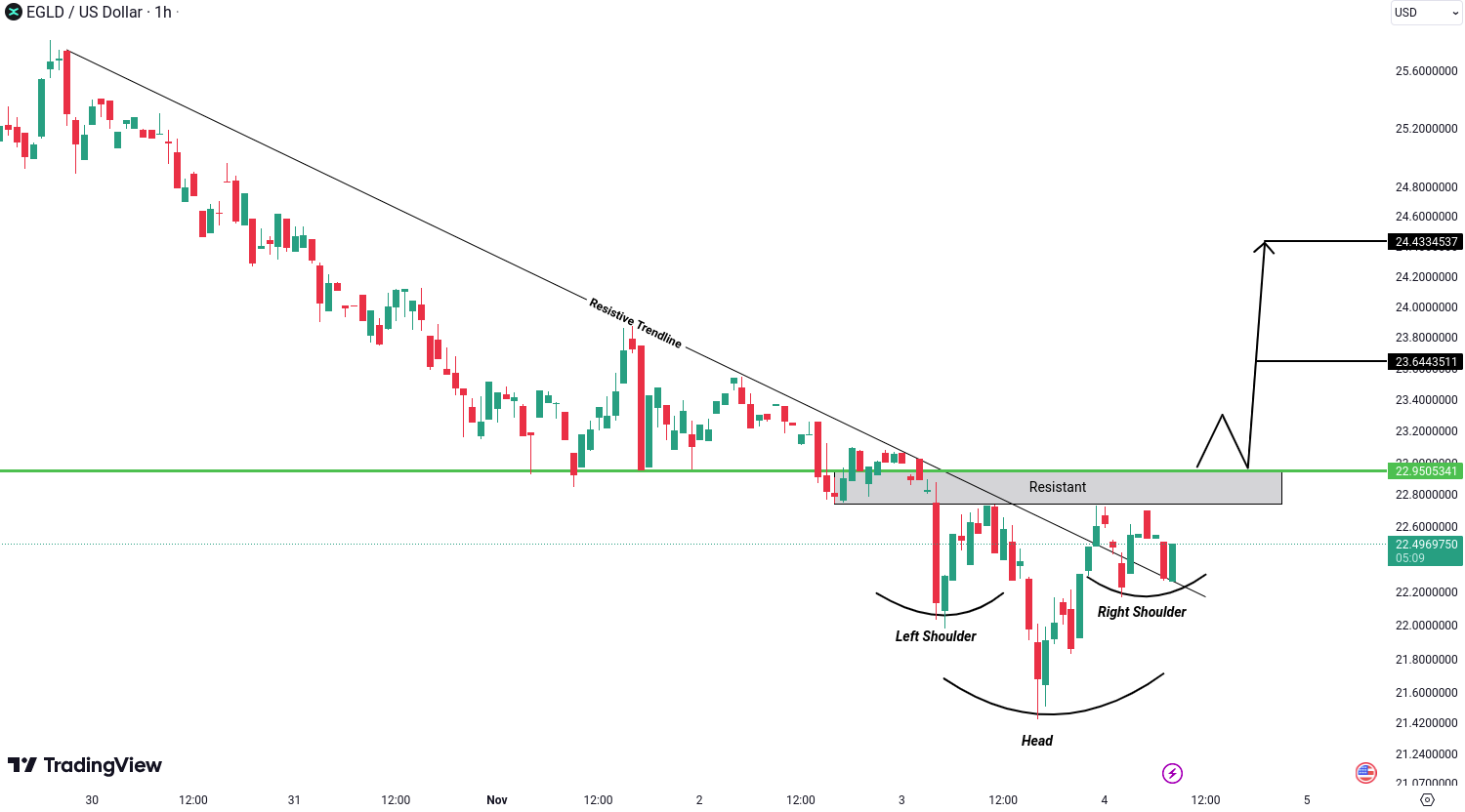 MultiversX (EGLD) Analysis