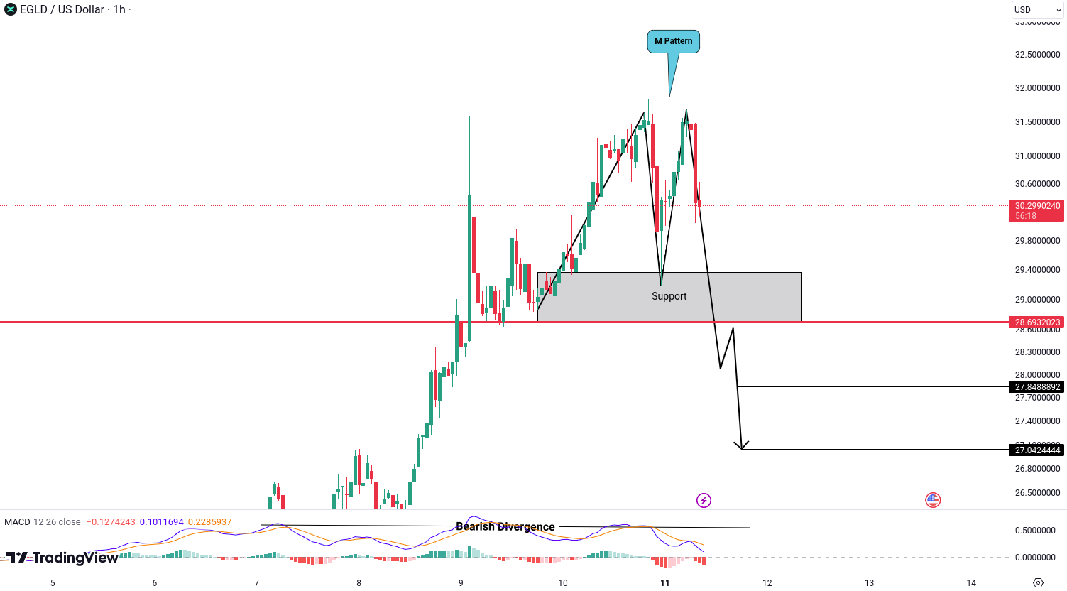 Crypto analysis for BTC, ETH, EGLD, BNB and ADA - November 11, 2024