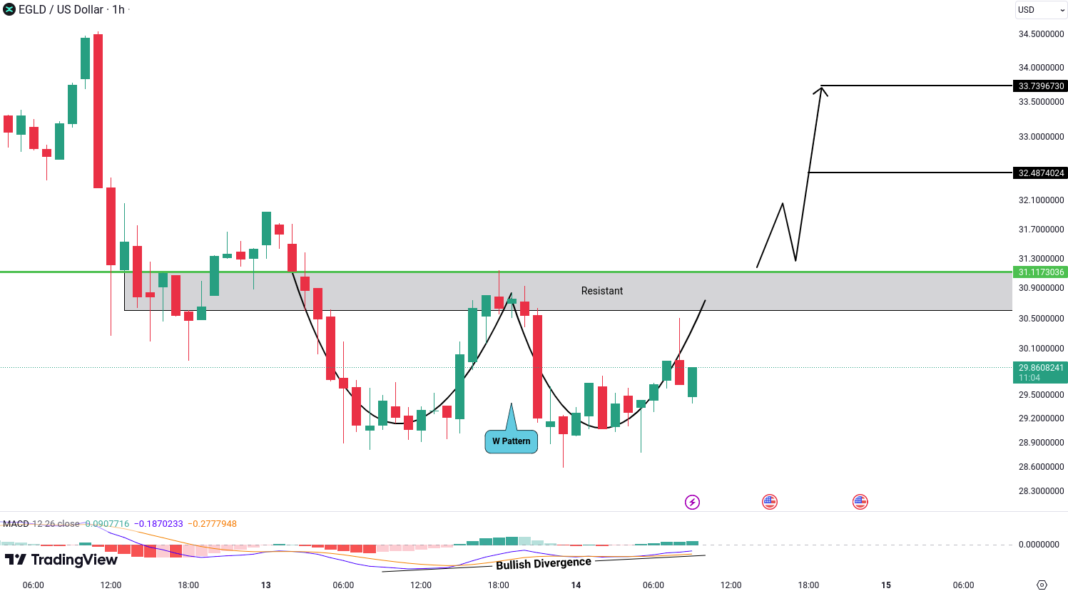 MultiversX (EGLD) Analysis