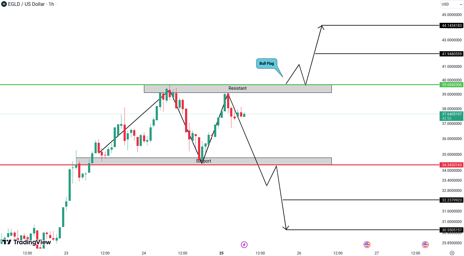 MultiversX (EGLD) Analysis