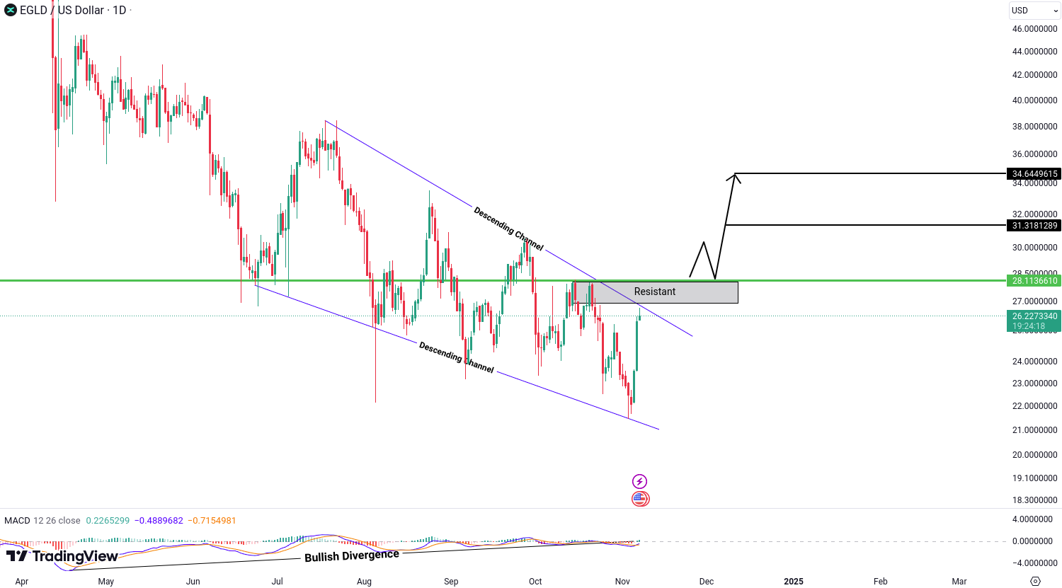 Crypto analysis for BTC, ETH, EGLD, ALGO and FIL - November 07, 2024