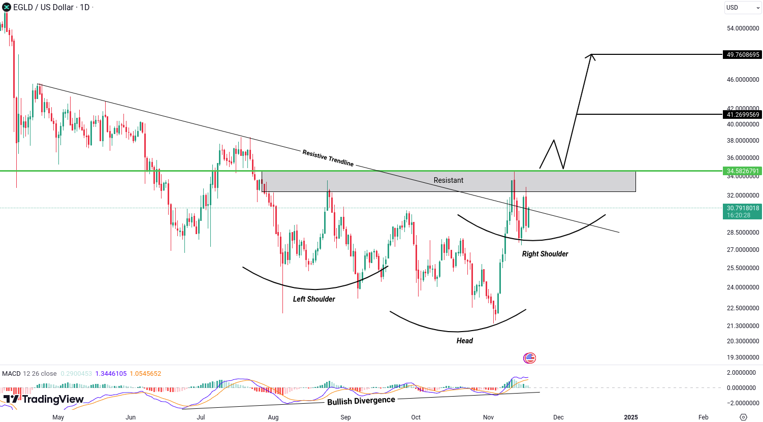 MultiversX (EGLD) Analysis