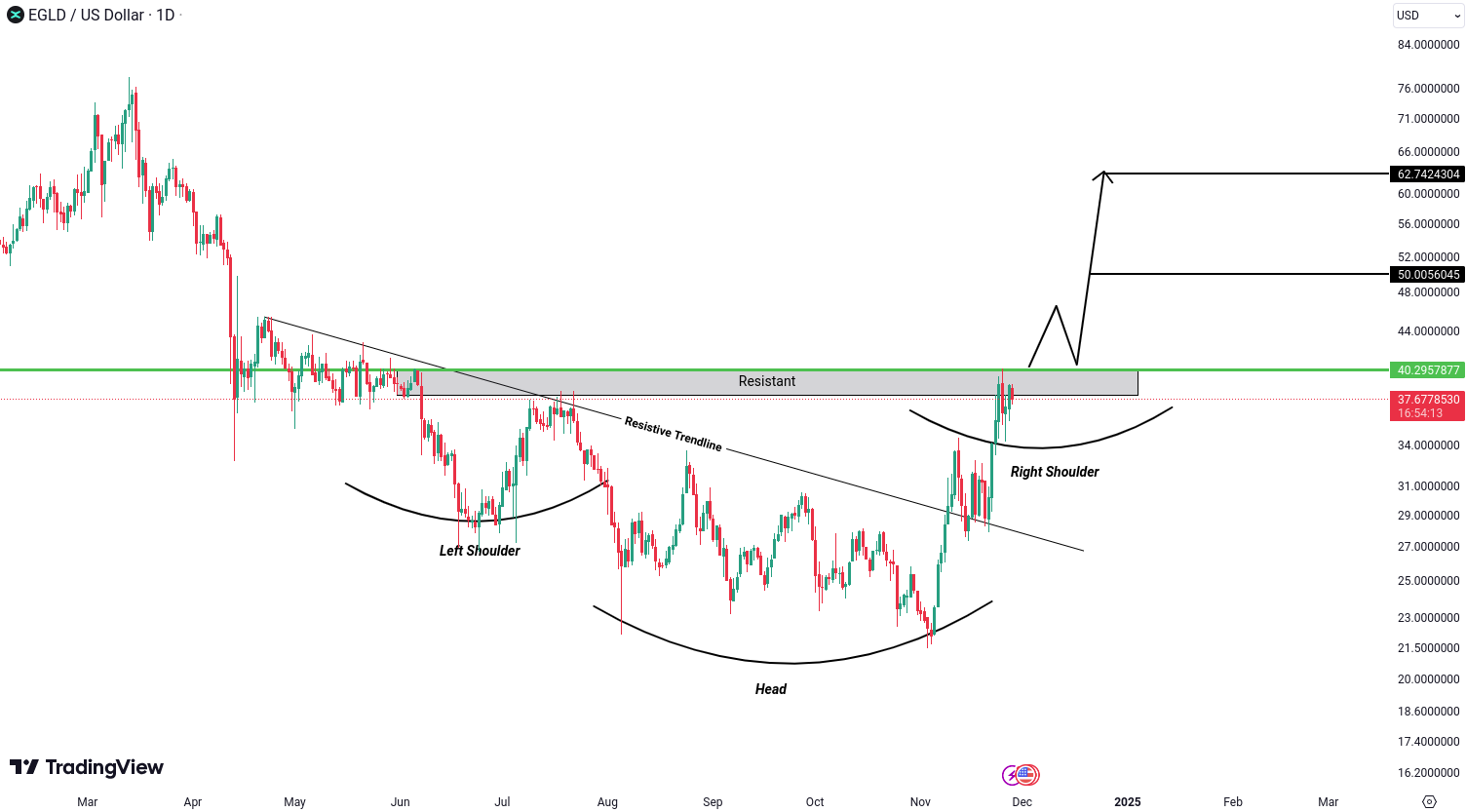 MultiversX (EGLD) Analysis