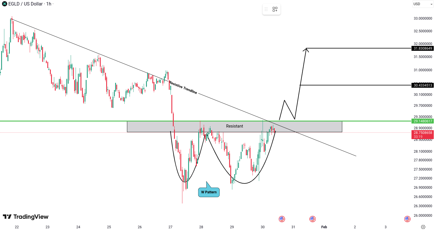 MultiversX (EGLD) Analysis