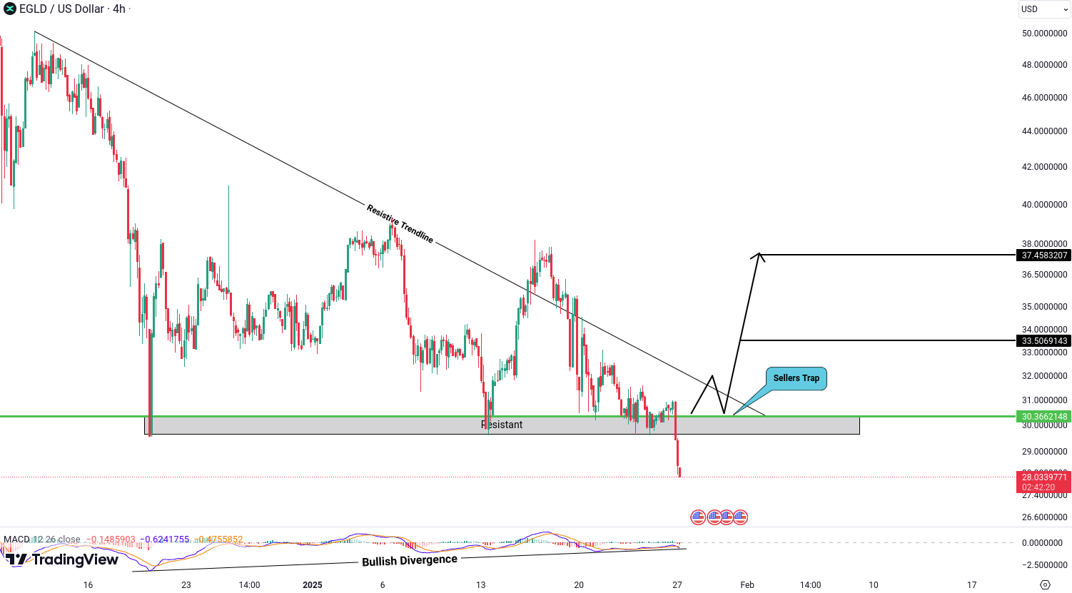 Analiza MultiversX (EGLD)