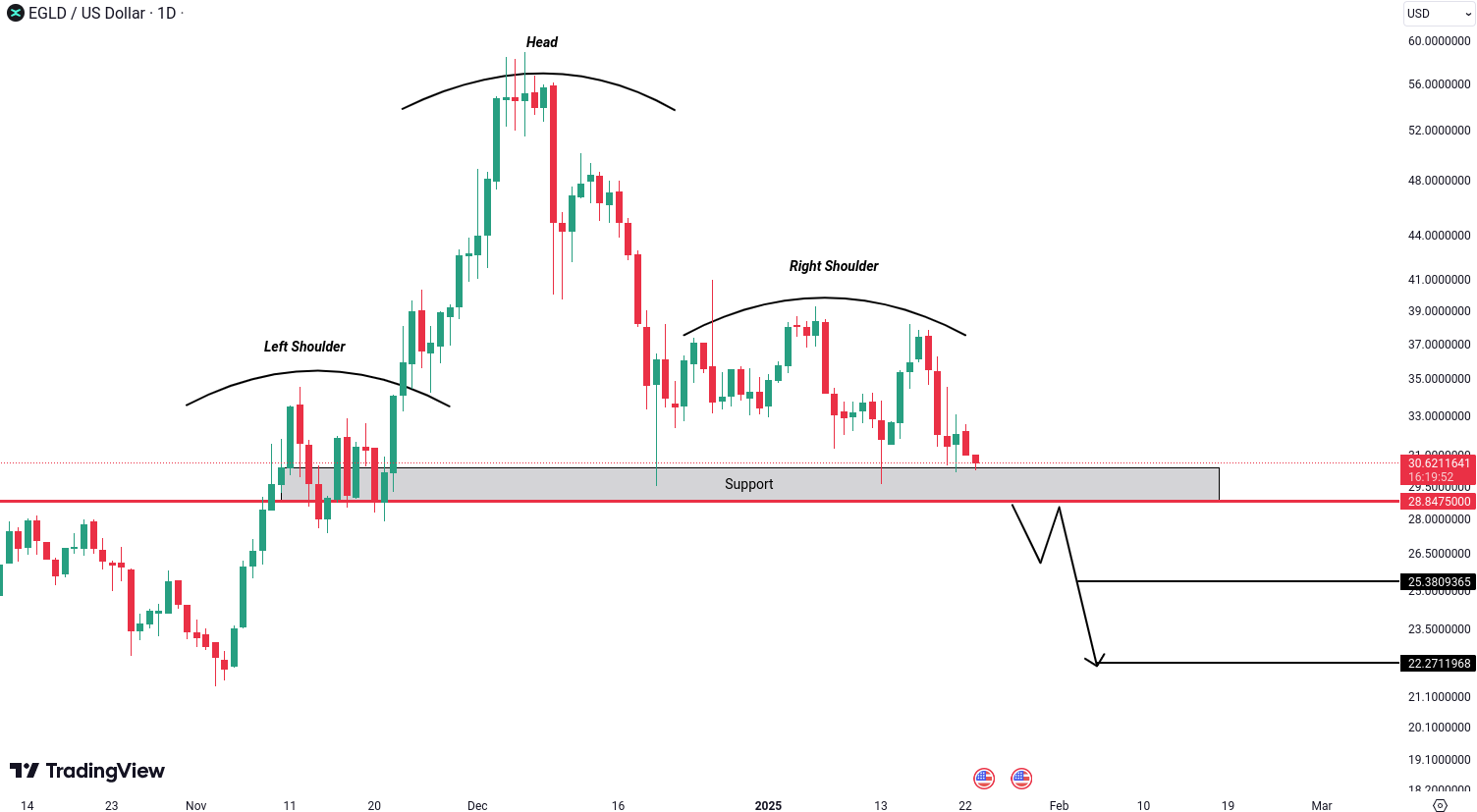 MultiversX (EGLD) Analysis