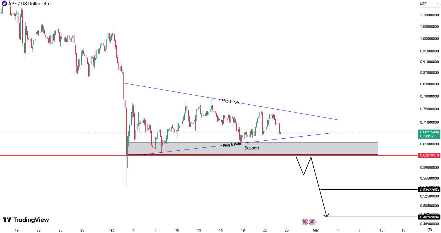 Analiza ApeCoin (APE)