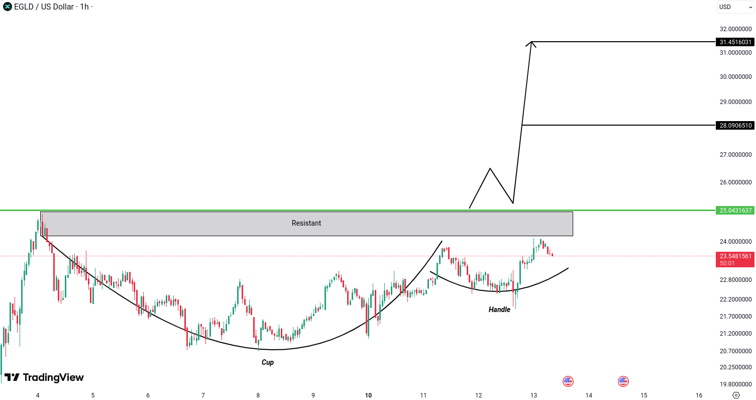 Crypto analysis for BTC, ETH, EGLD, LINK and DOGE - February 13, 2025