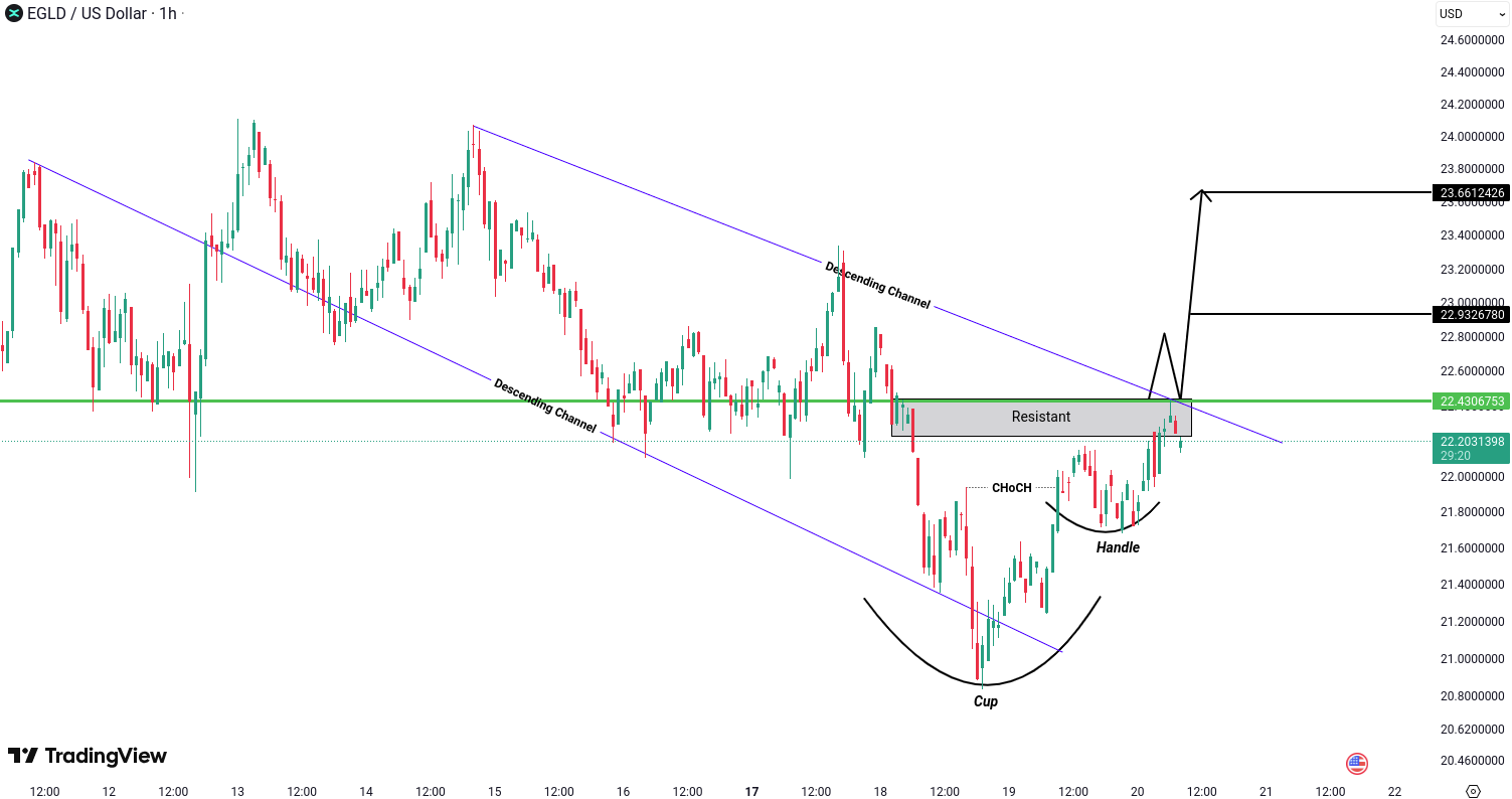 MultiversX (EGLD) Analysis