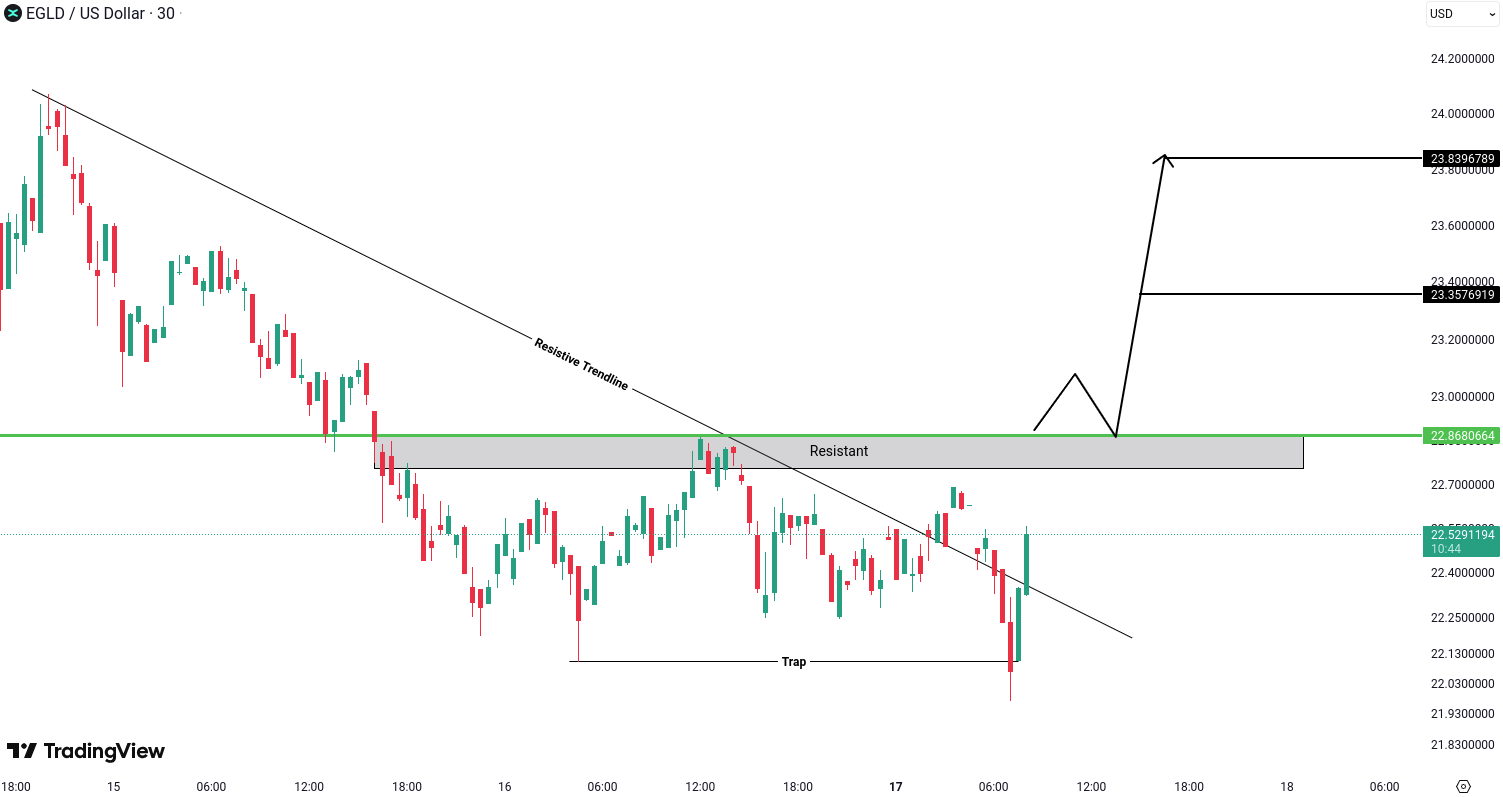 MultiversX (EGLD) Analysis