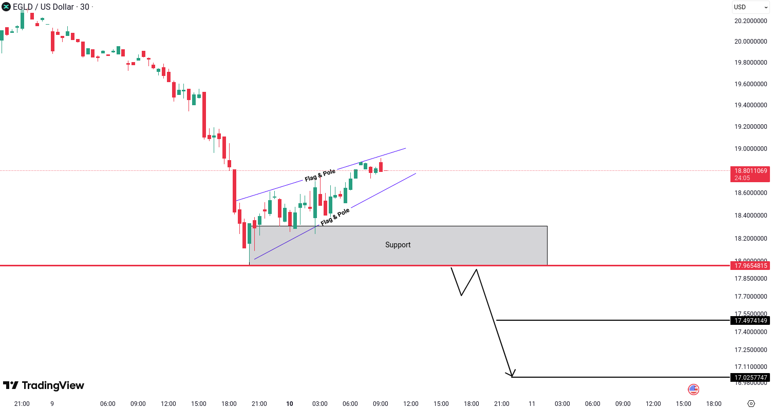 MultiversX (EGLD) Analysis