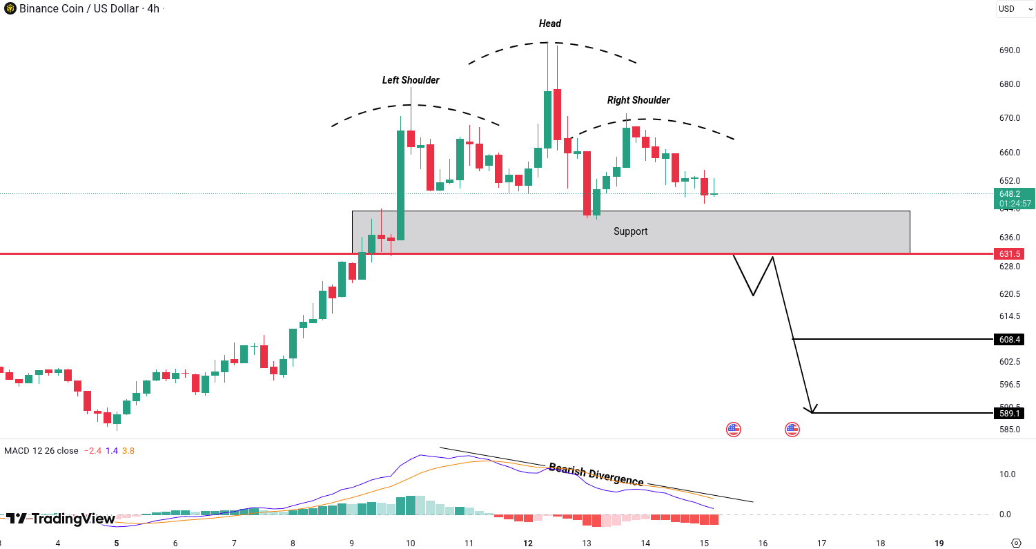 Analiza Binance Coin (BNB)