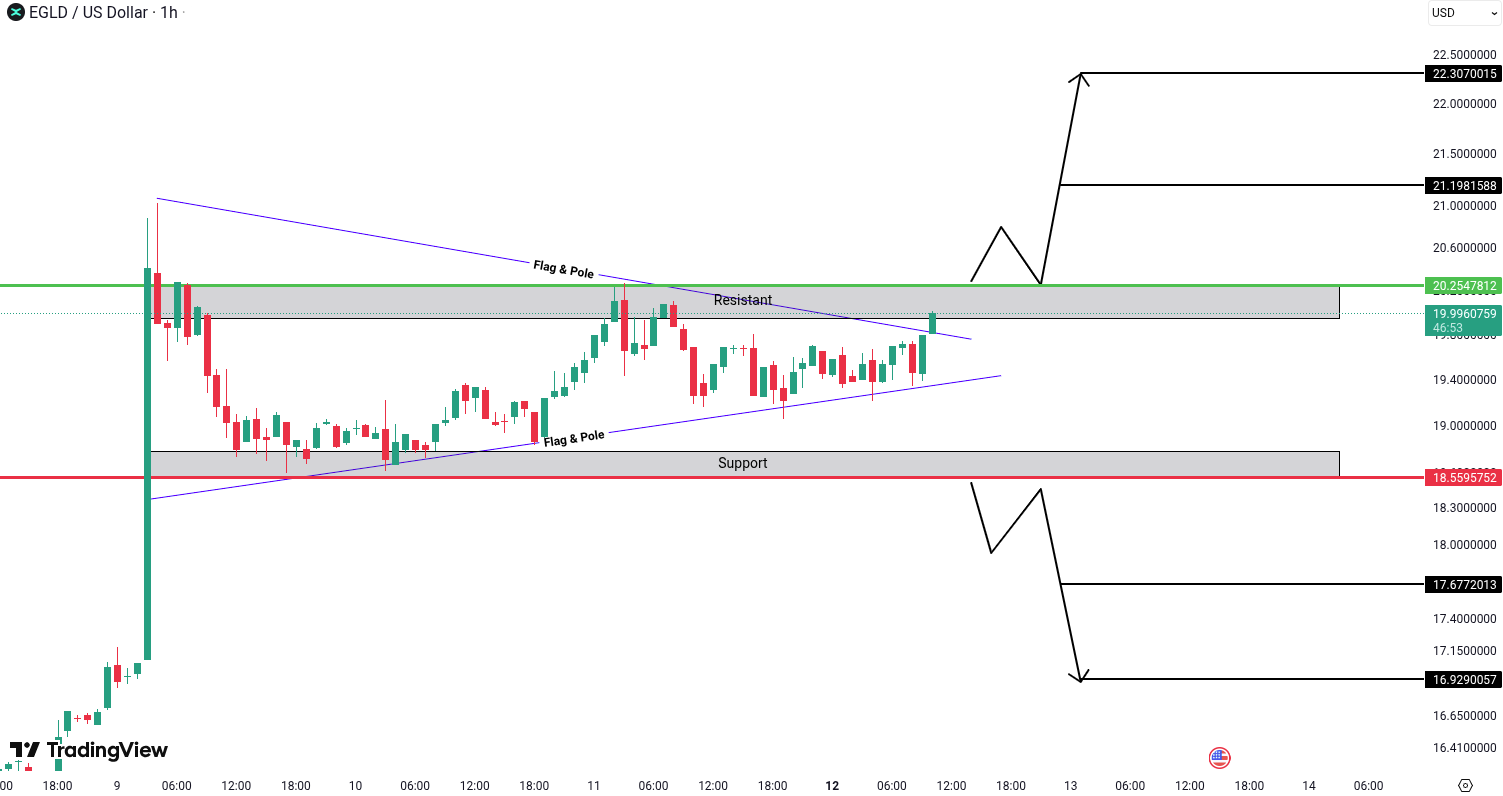 MultiversX (EGLD) Analysis