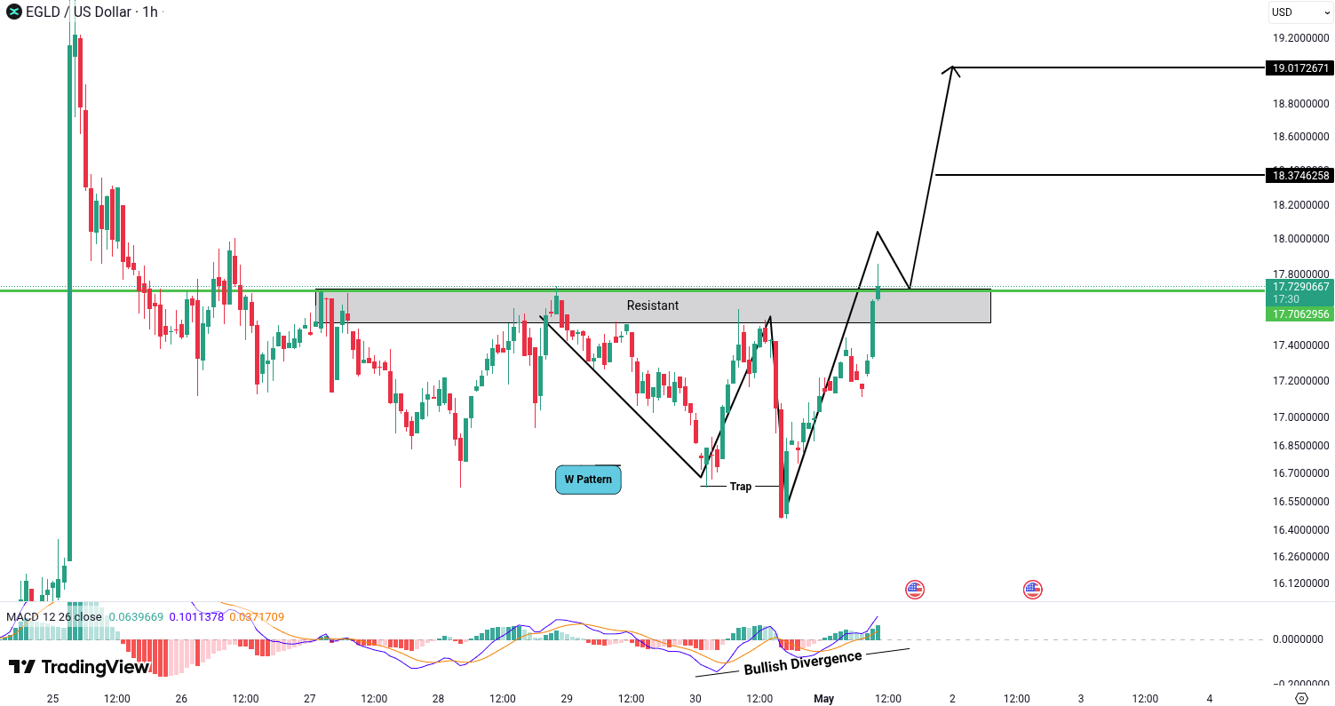 Analiza MultiversX (EGLD)