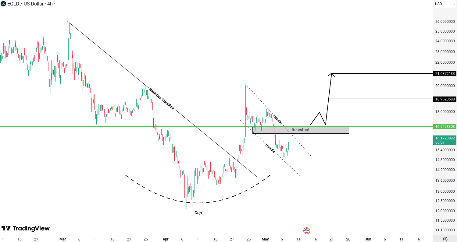 MultiversX (EGLD) Analysis