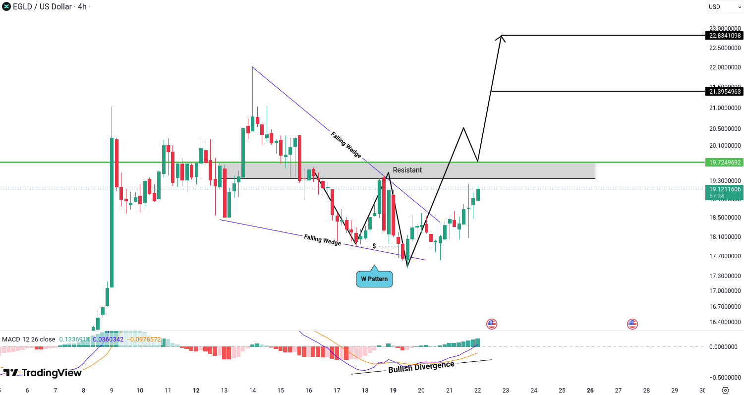 MultiversX (EGLD) Analysis