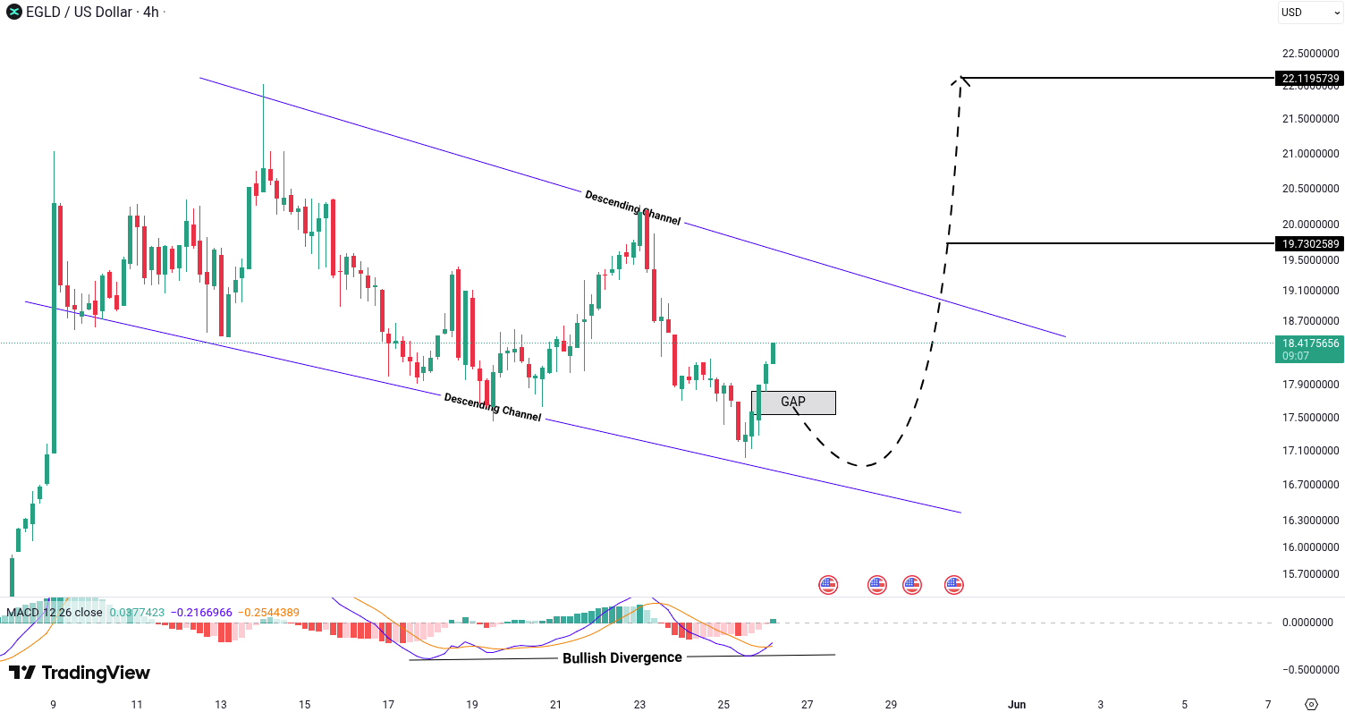 Analiza MultiversX (EGLD)