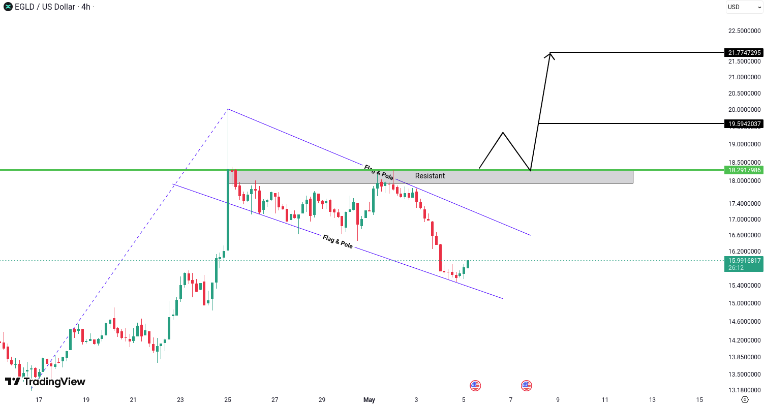 MultiversX (EGLD) Analysis