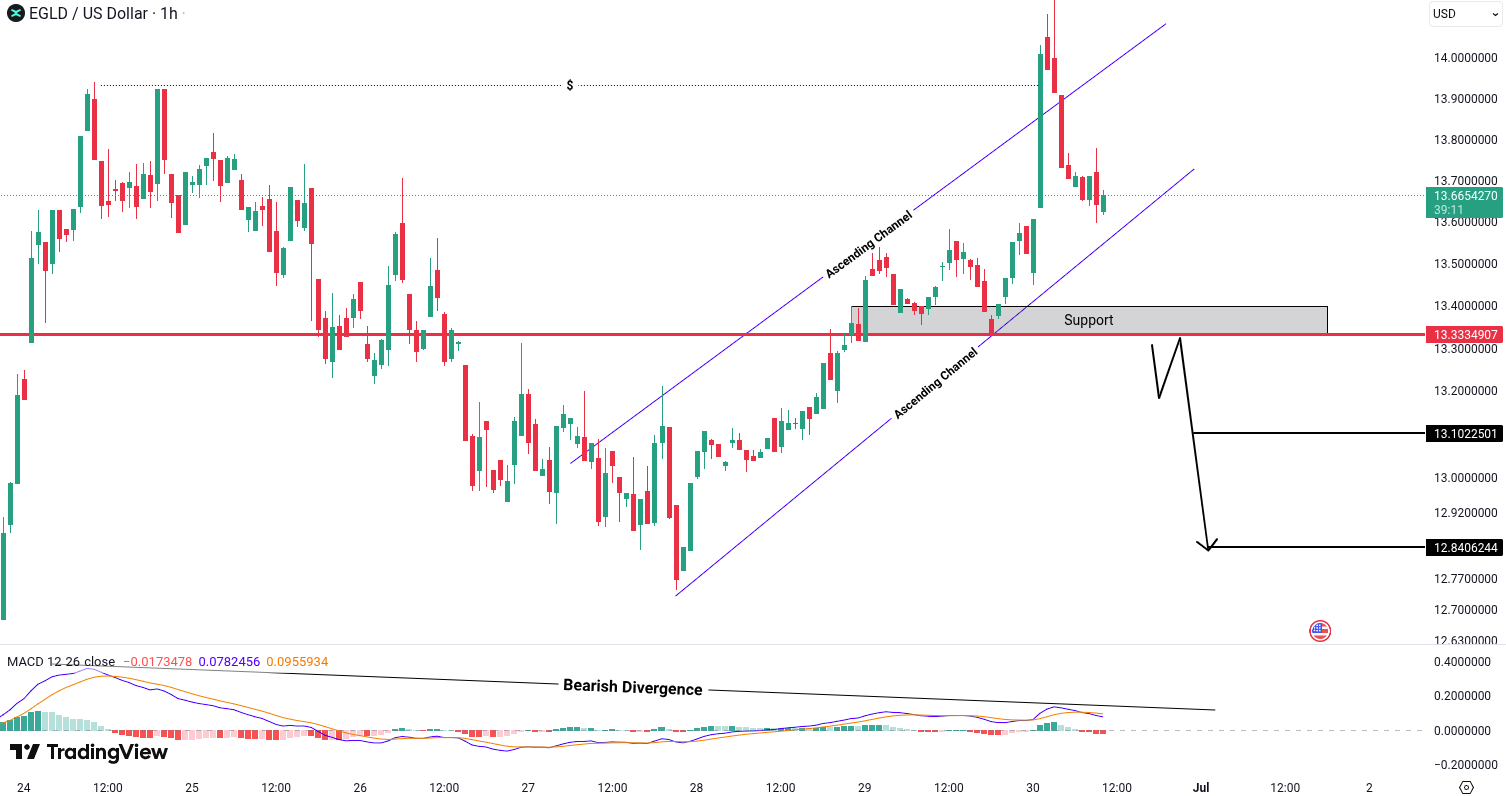 Analiza MultiversX (EGLD)