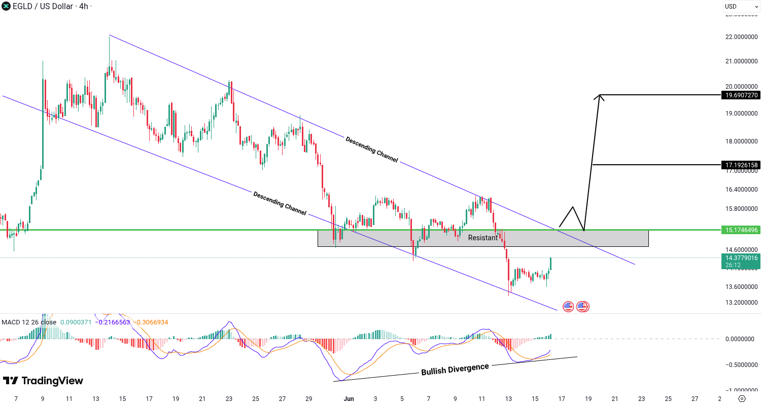 MultiversX (EGLD) Analysis