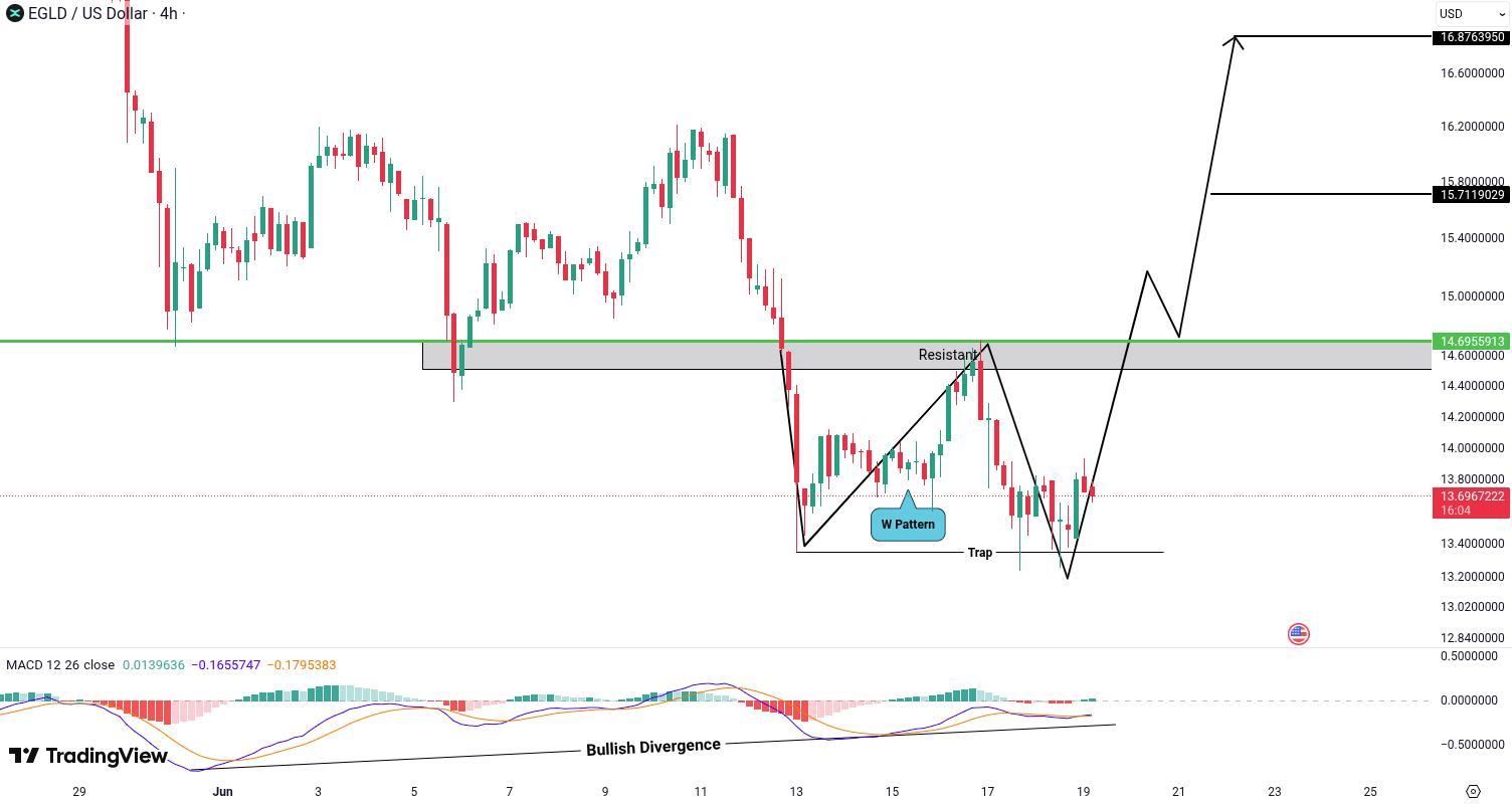 MultiversX (EGLD) Analysis