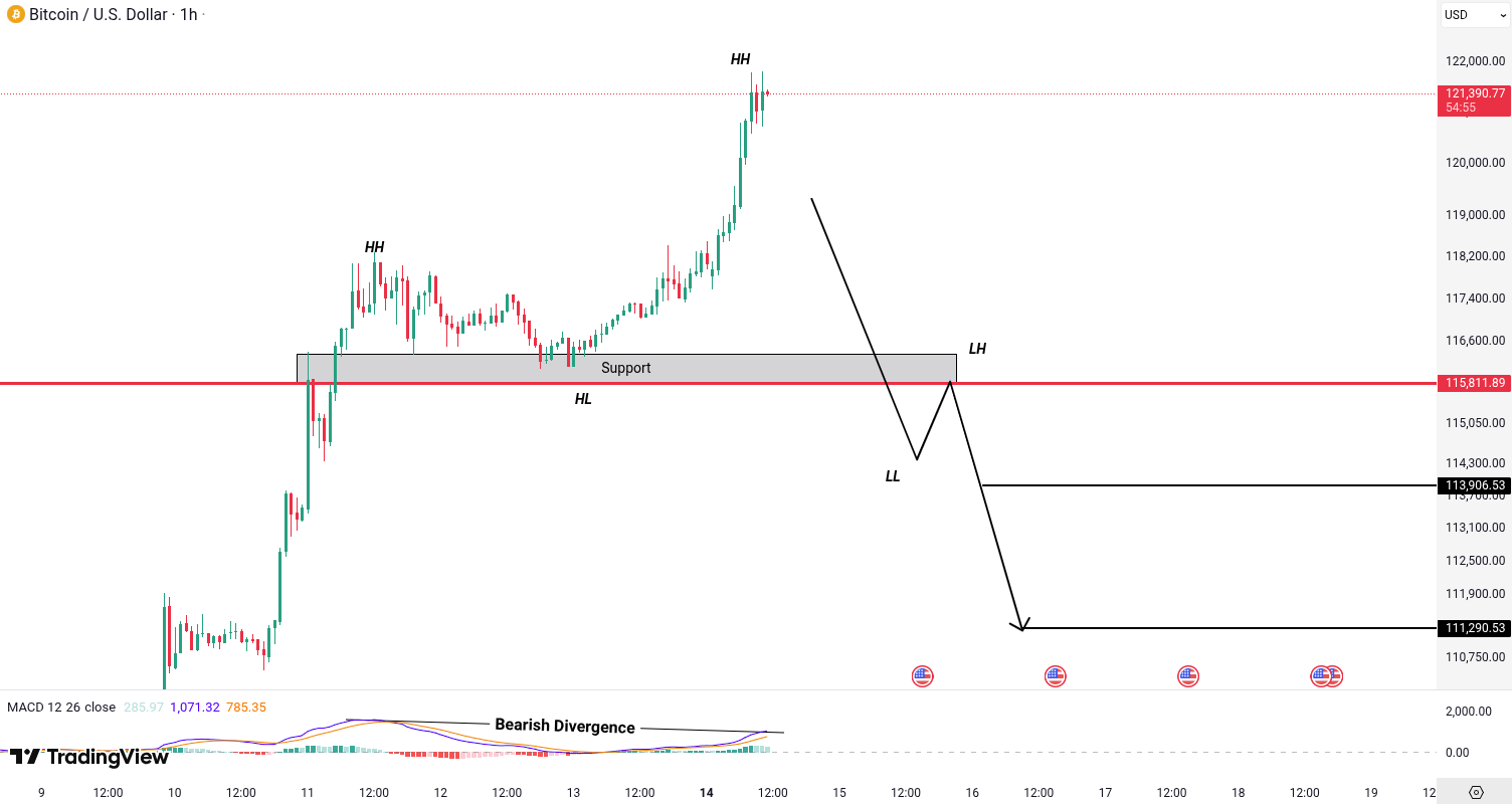 Bitcoin (BTC) Analysis