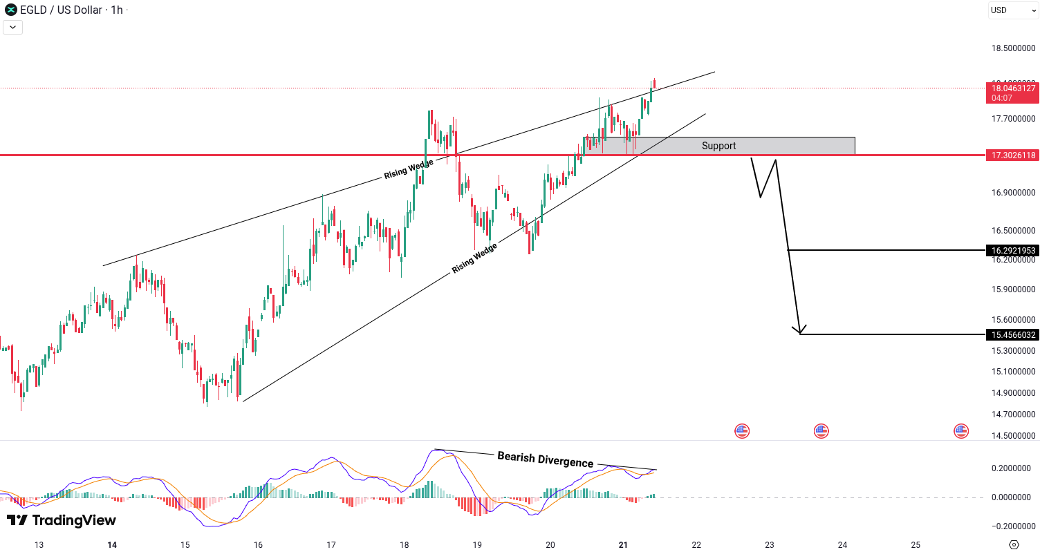 MultiversX (EGLD) Analysis