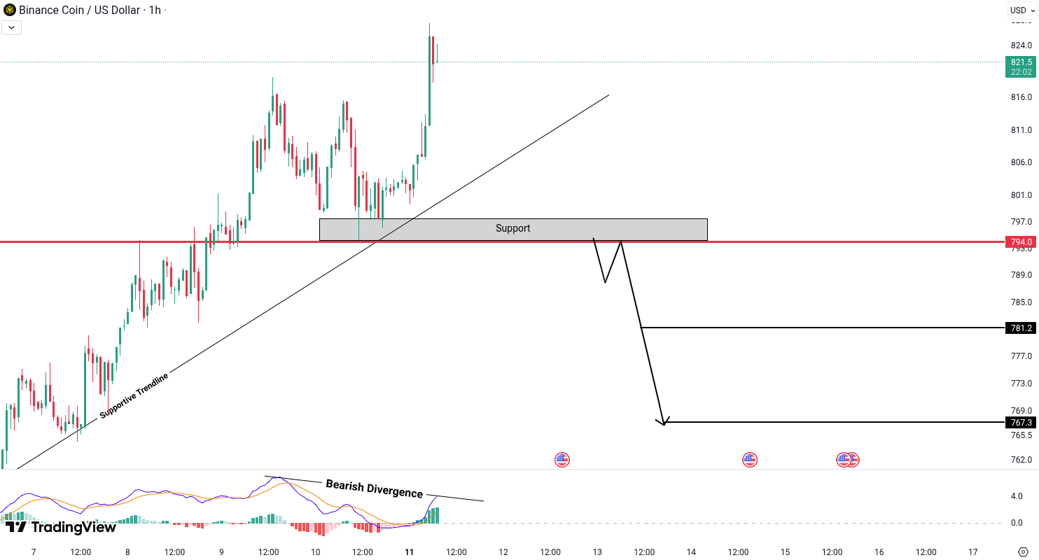 Analiza Binance Coin (BNB)